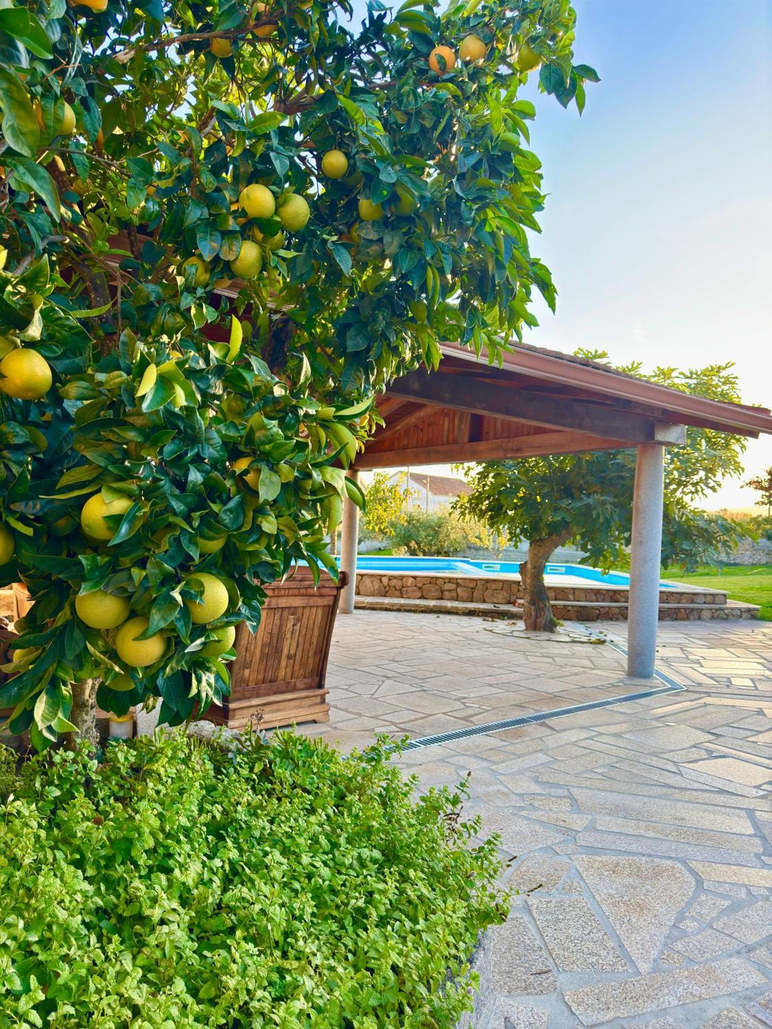 Quinta Do Nobre Villa Мариалва Екстериор снимка